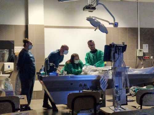 WhatsApp-Image-2025-10-24-at-10.07.40-1